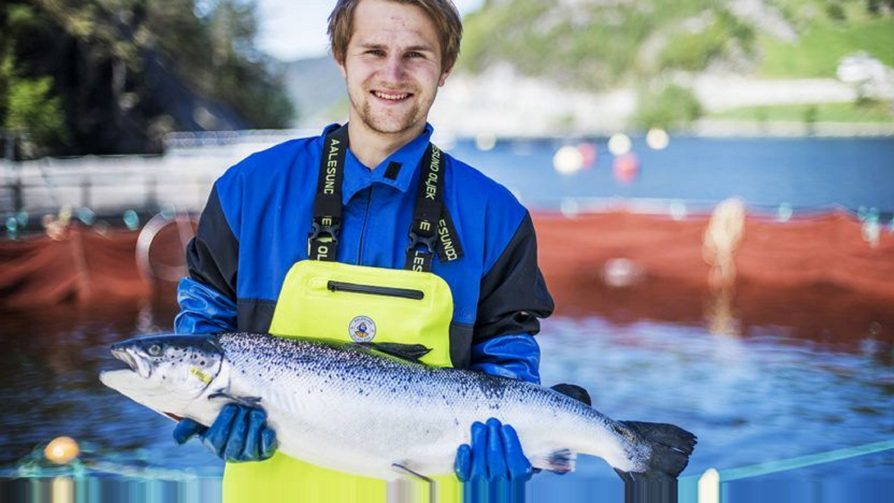Jørgen Wenberg er ansatt ved Wenberg Fiskeoppdrett, et av eierselskapene i Salten Aqua- Gruppen.
